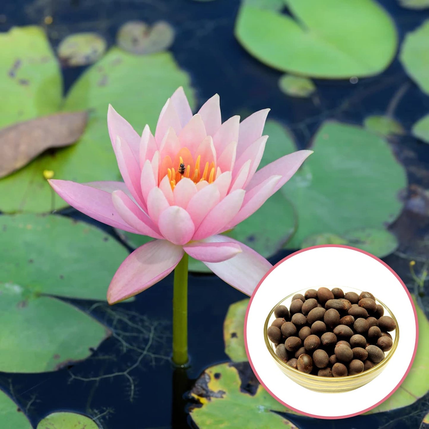 5115